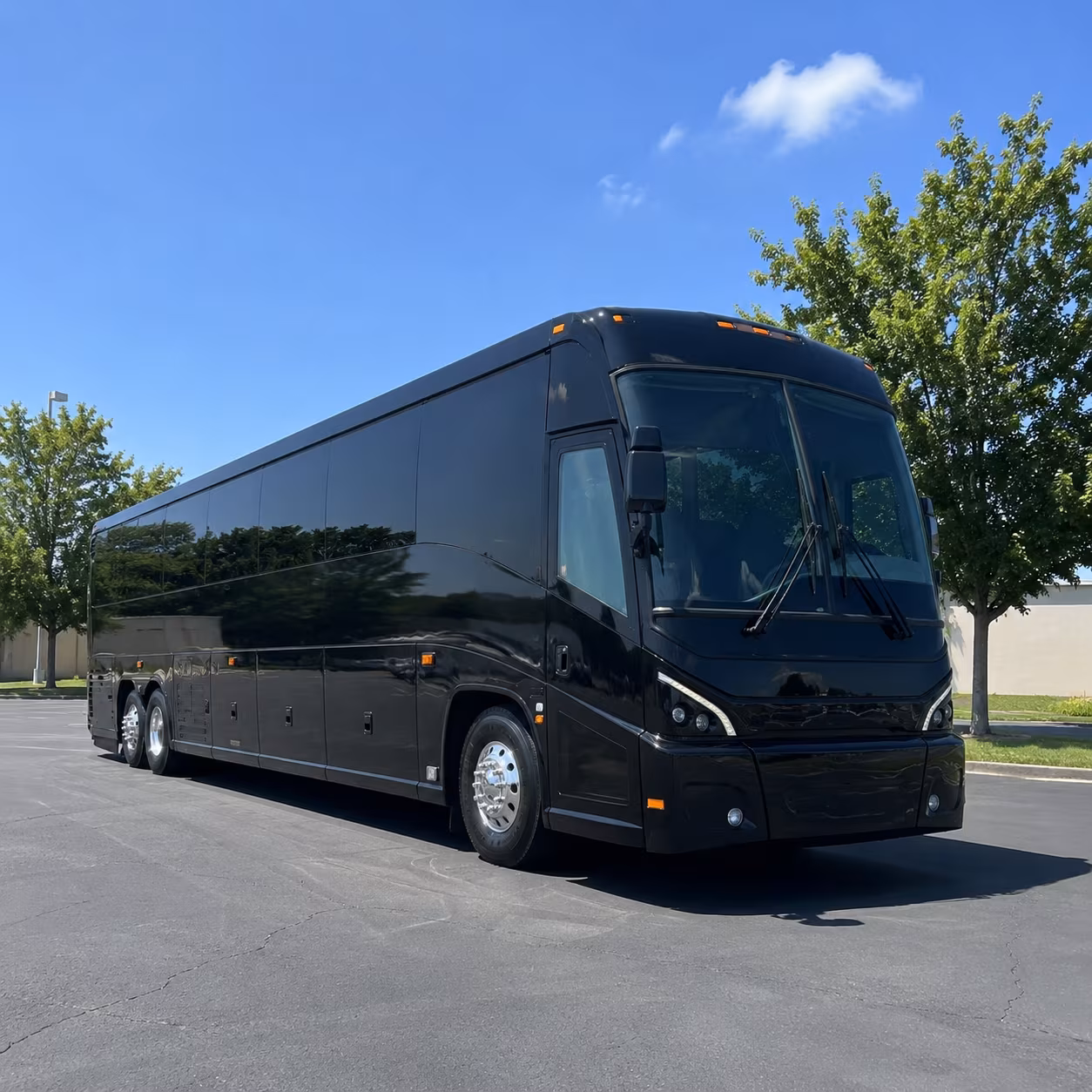 new orleans and gulf south long distance bus rentals from south fulton