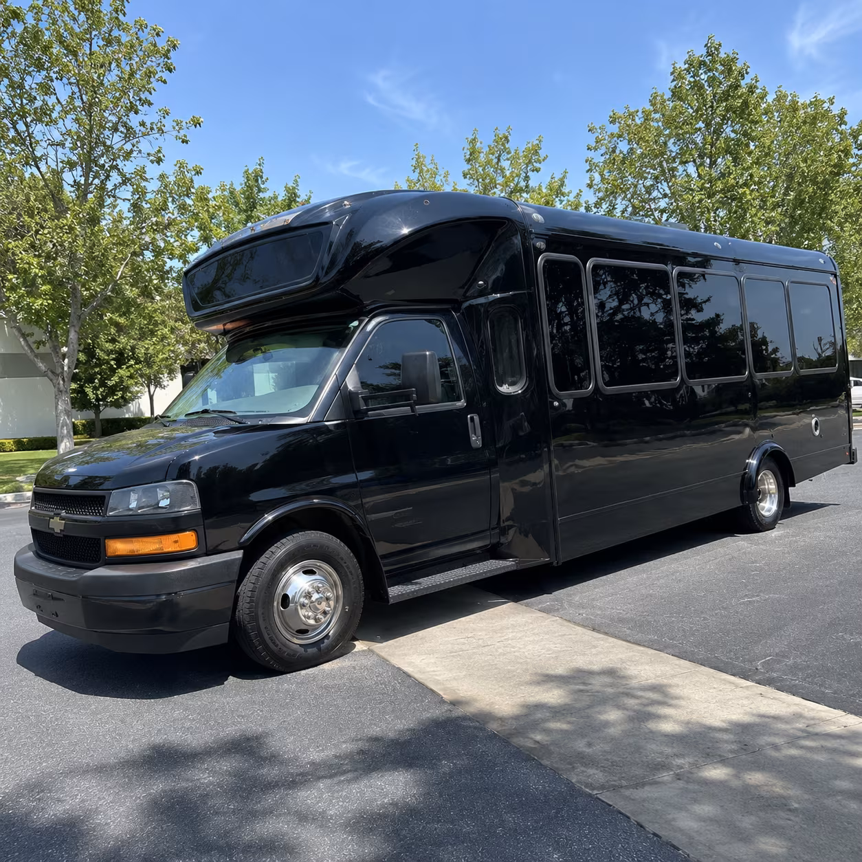 south fulton 15 passenger party bus
